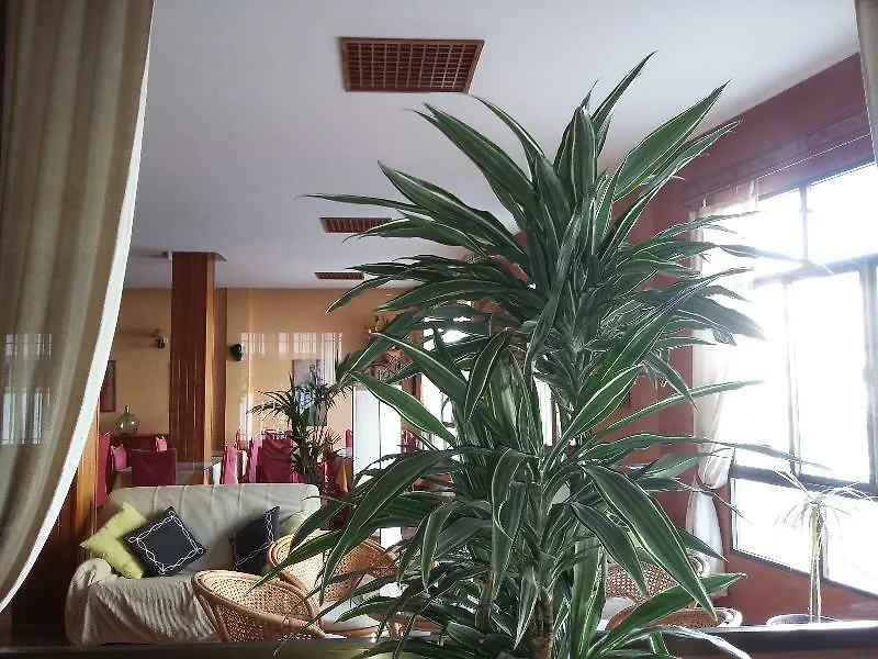 **  Hotel Tres Jotas Conil Conil De La Frontera Spain